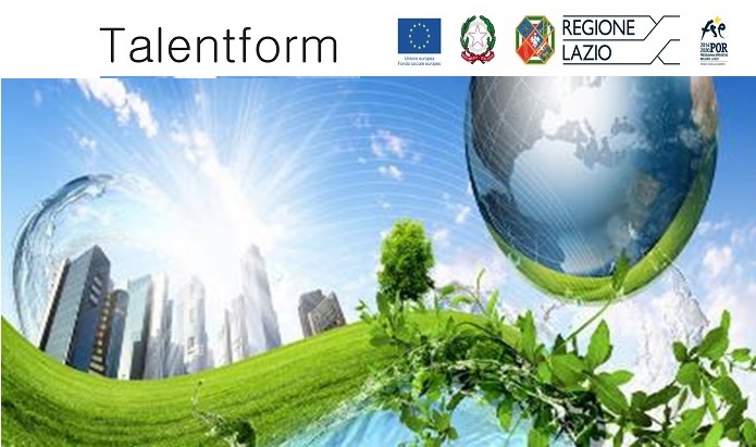 Risultati corso “Esperto nel settore economico finanziario connesso ad interventi per lo sviluppo di fonti rinnovabili e di efficienza energetica” 35 Immagine 41