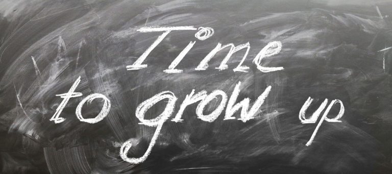 Regione Lombardia: voucher la formazione di Imprese e Professionisti 17 board 2128993 1280