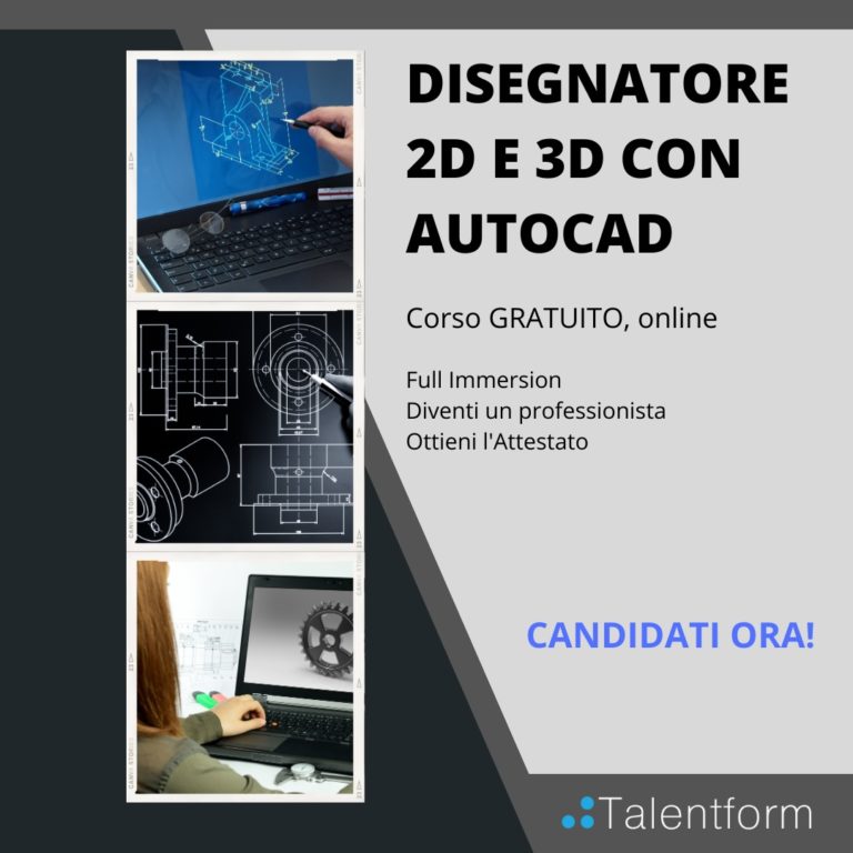 Disegnatore 2D e 3D con AutoCAD 1