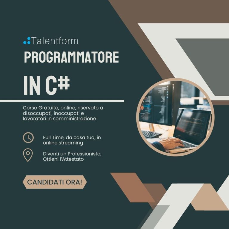 Programmatore in c PER SITO