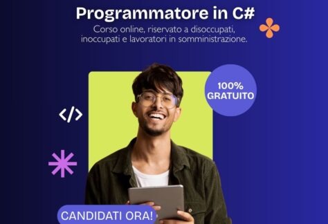 Programmatore in C