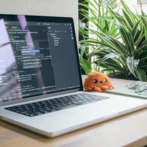 programmatore c sharp articolo lk